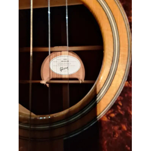 Gibson DSM Songmaker Dreadnought 2009