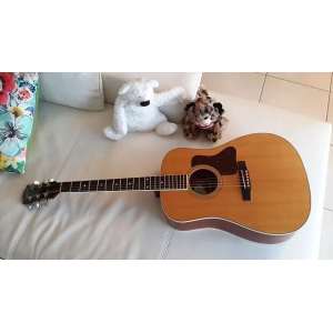 GIBSON DSM Songmaker Dreadnought 2009 Guitar