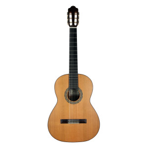 Esteve 4-string Guitar Cedar Top