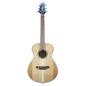 Breedlove Discovery S Companion