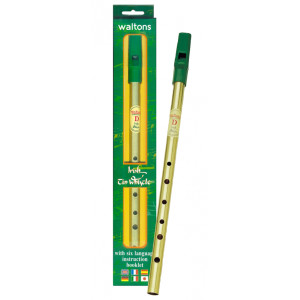 Thin Irish Flute Re