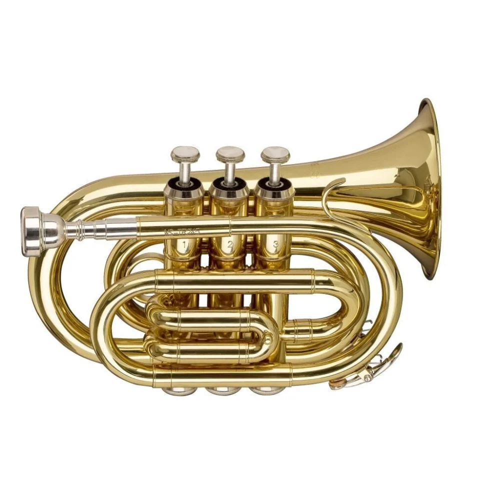 Stagg Ws-tr245s