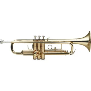 Stagg Ws-tr215s