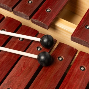 Stagg Xylo-set 37 Syn