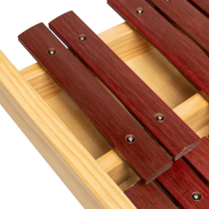 Stagg Xylo-set 37 Syn