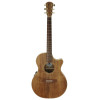 Cole Clark TL2EC-BLBL Guitar Case