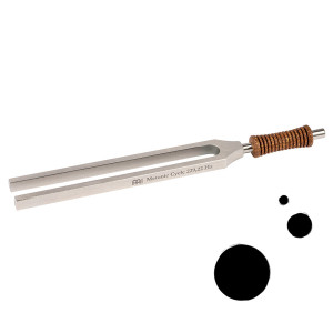 Diapason Sonic Energy Therapy Metonic