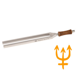 Diapason Sonic Energy Therapy Neptune