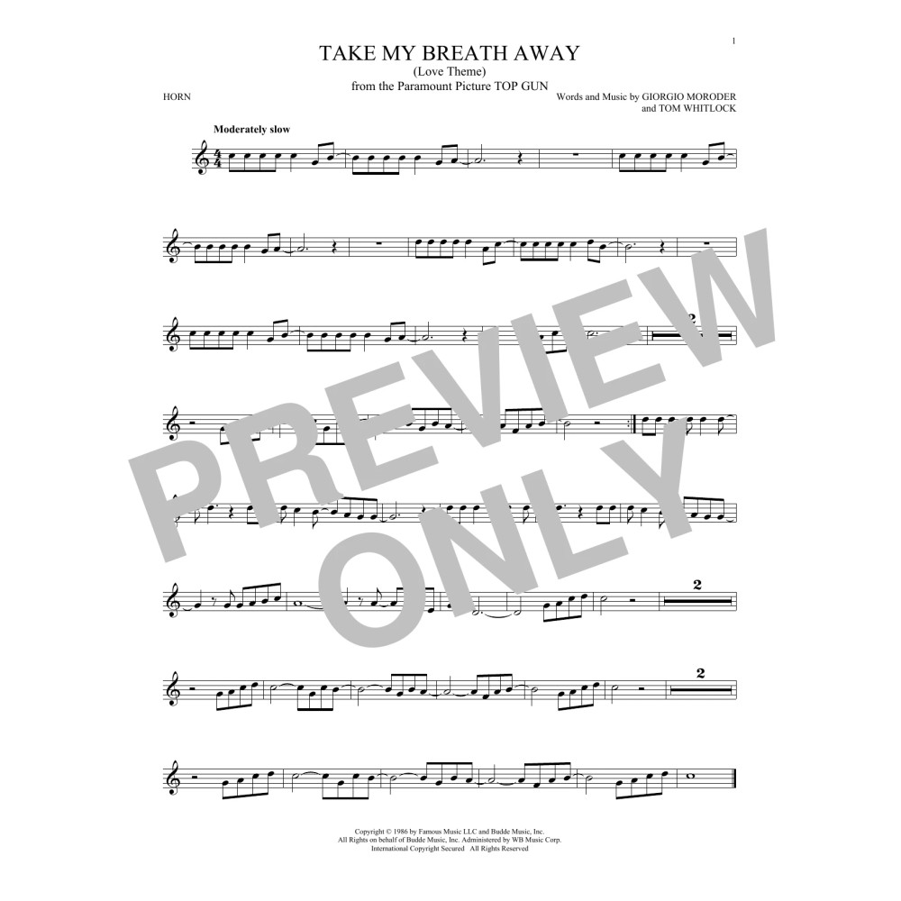 Take My Breath Away (Love Theme)
