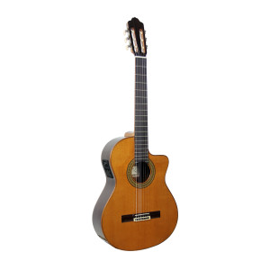 Esteve 3ce Guitar, Cutaway