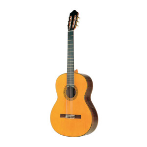 Esteve Model 8 Guitar Cedar Top Case