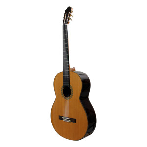 Esteve 6C Octave Bass Table Cedar