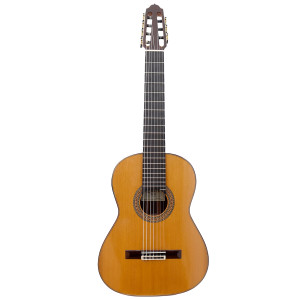 Esteve 7-String Guitar Cedar Top
