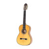 Guitare Esteve Alegria Flamenco Etui
