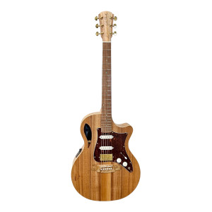 Guitare Cole Clark An2ec-blbl-hss Etui