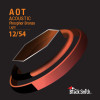 Black Smith Acoustic AOT 12-54