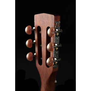 Cort AP550M Parlor Mahogany Guitar