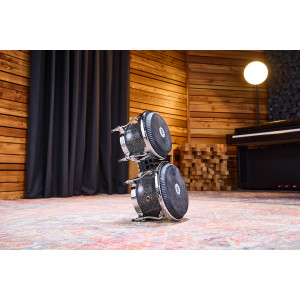 Meinl Artist Diego Gale Bongos