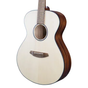 Breedlove Discovery S Concert