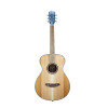 Breedlove Discovery S Concertina