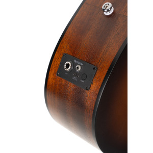 Cort Earth Go Hyvibe Guitar, Case