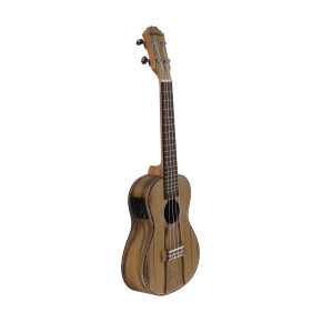 Ukulele Concert Alabama Dao Electro