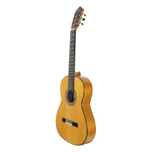 Guitare Esteve Gipsykings Epicea