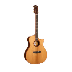 Cort Gold A10, Cocobolo natural brillante