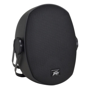 Peavey 50W Speaker 5" Woofer Black