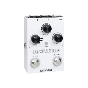 Pedal Mooer Loopation