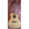 Lâg Tramontane T100 ASCE Auditorium is a high-quality acoustic guitar that combines elegance and performance. With its solid 