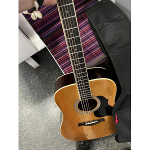 Richwood RD-12 - Guitare Folk