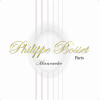 Bosset Manouche Loop String 046