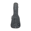 Ritter Classic 4/4 Gray Case Cover