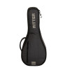 Ritter Round Mandolin Cover Gray