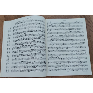 HAYDN Cuarteto de cuerdas (30 cuartetos famosos), volumen 2