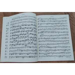 HAYDN String Quartet (30 famous quartets), volume 2