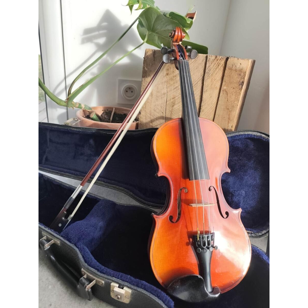 Reghin Violon demi