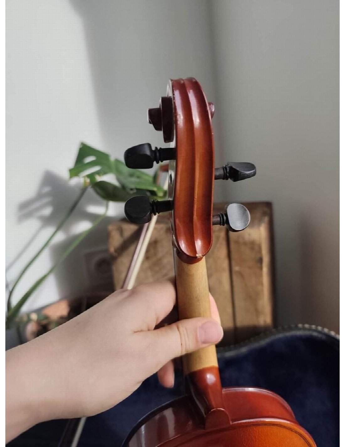reghin-half-size-violin.jpg