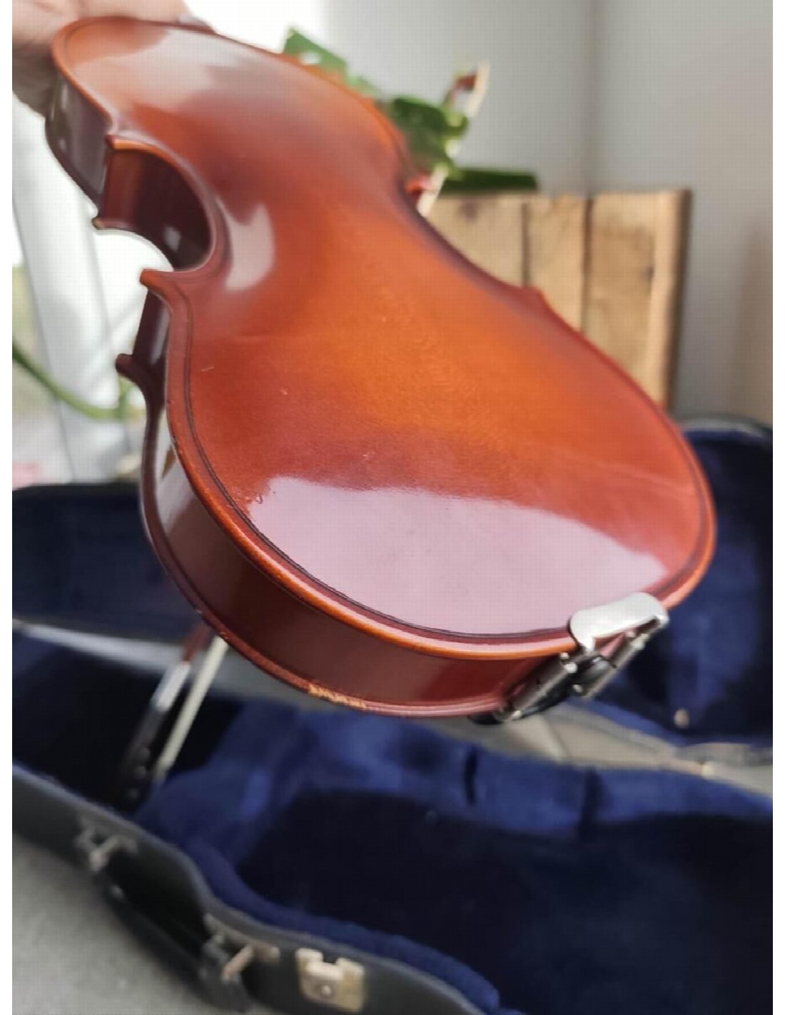 Reghin Half-size Violin