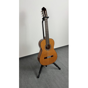 Esteve 4-String Guitar Spruce Top Gloss