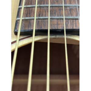 Guitarra Cort Ga-me Dx con tapa maciza