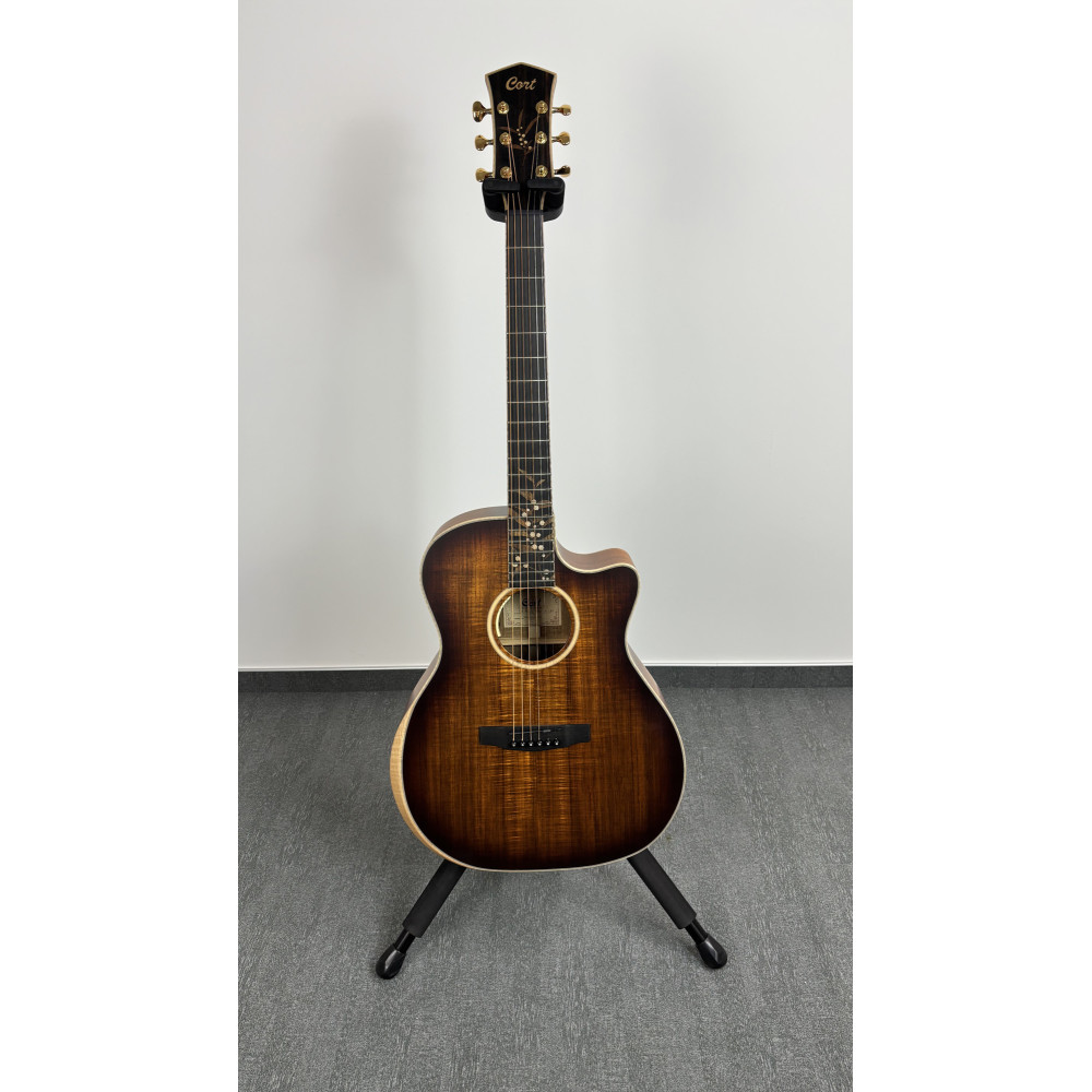 Cort The Black Tree Light Burst Guitar