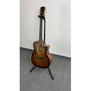 Cort The Black Tree Light Burst Guitar