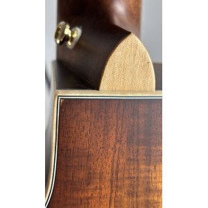 Guitare Cort The Black Tree Light Burst