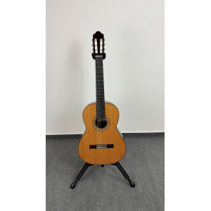 Guitar Esteve 3z F/e Ziricote