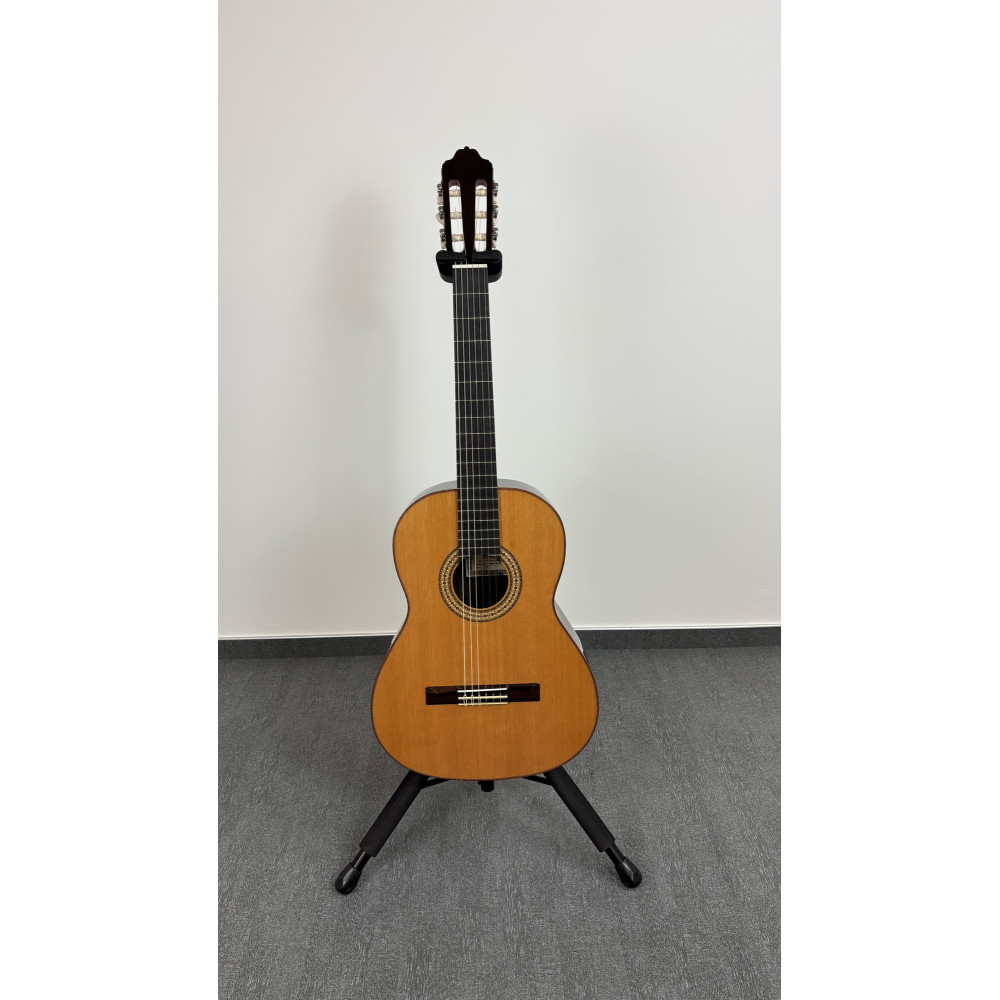 Esteve 3z F/e Ziricote-Gitarre