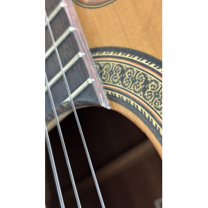 Guitare Esteve 3ce Pan Coupe Fishman
