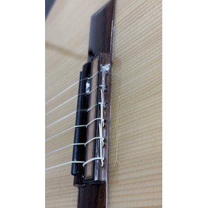 Guitare Ortega Grandsuite, Cw Eq