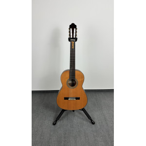 Gitarre Esteve Mod.7 F/e Cocobolo